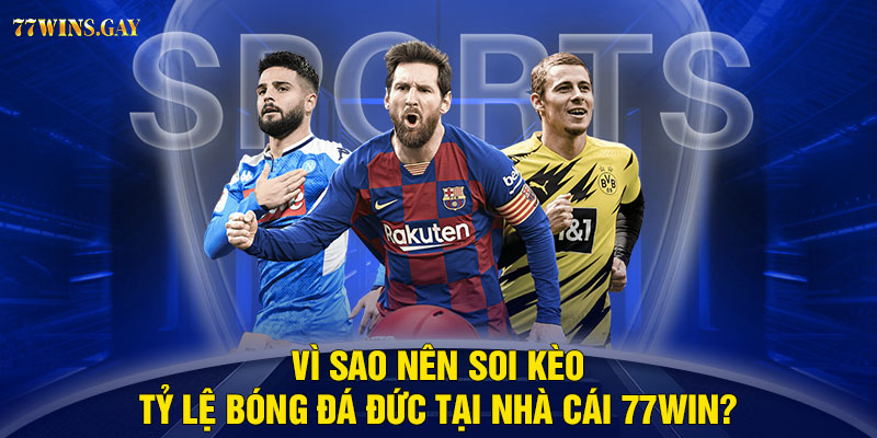 Vì sao nên soi kèo tỷ lệ bóng đá Đức tại nhà cái 77WIN?