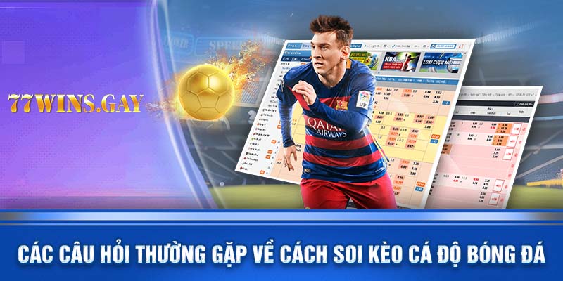 Các câu hỏi thường gặp về cách soi kèo cá độ bóng đá